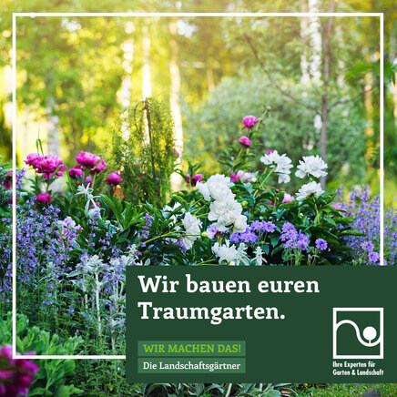 04d_Familiengarten.jpg